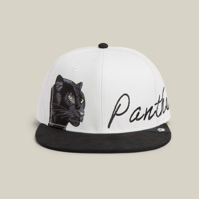 6-Panel Panther Script — DIGITAL