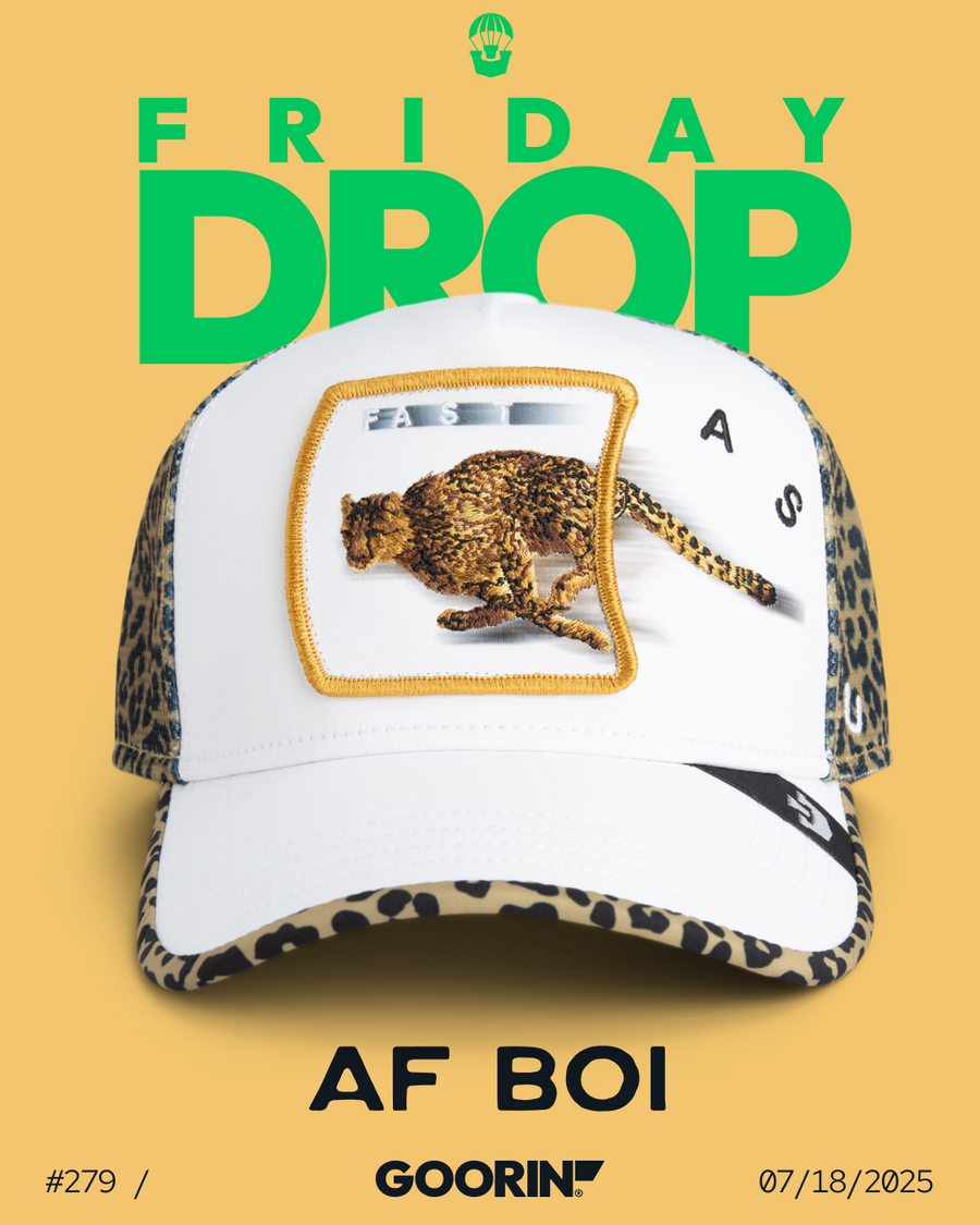 AF BOI