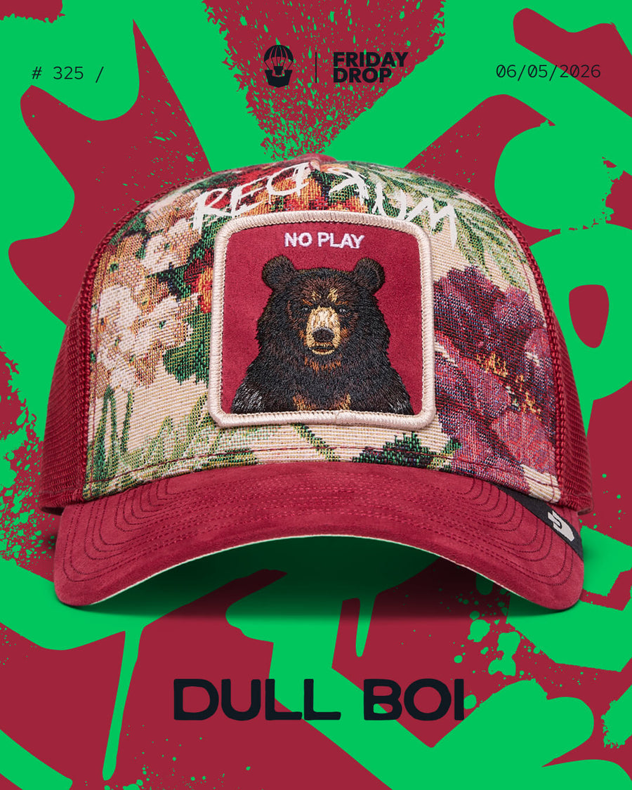 Dull Boi