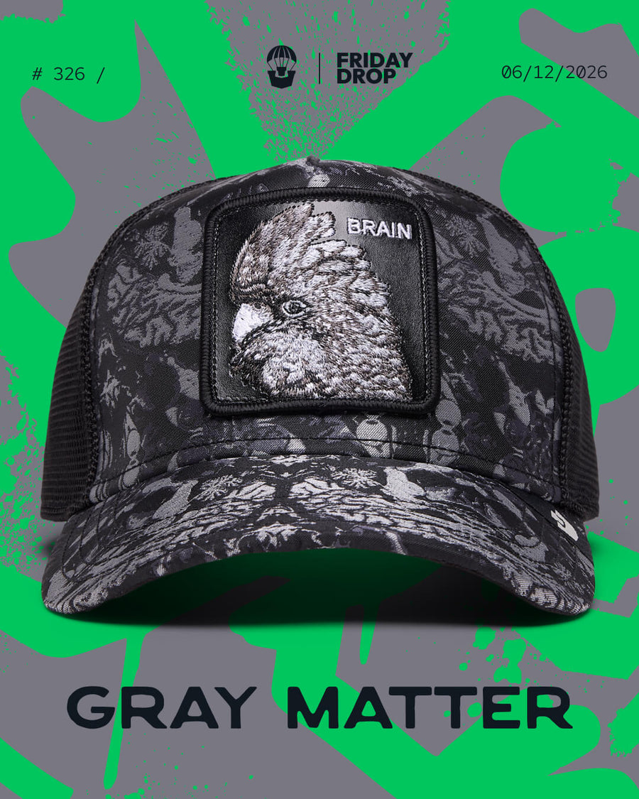 Gray Matter