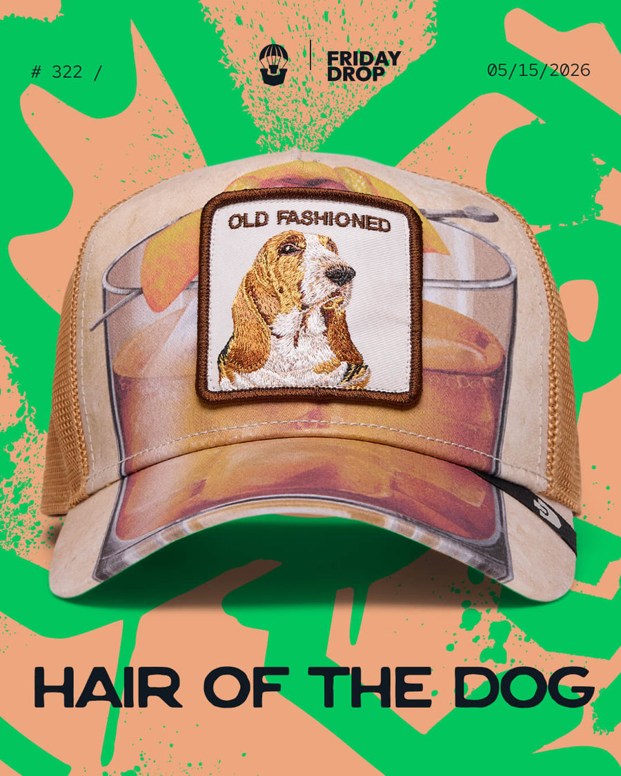 Hair of the Dog
