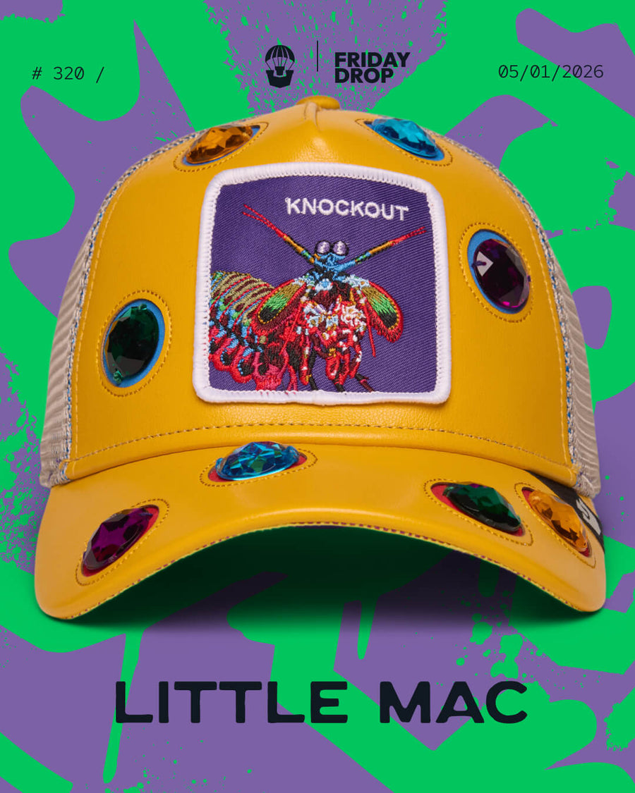 Little Mac