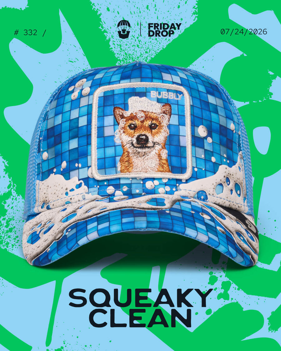 Squeaky Clean